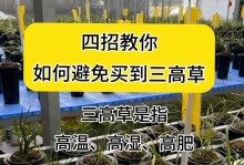水培兰花的养护技巧（打造更旺盛的水培兰花）