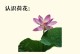 河花养殖方法详解（打造高产优质的河花养殖技巧）