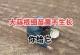 如何挑选新鲜可口的大蒜？（怎样辨别优质大蒜，大蒜的选购技巧）
