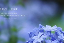 蓝雪花的风水寓意与摆放位置（掌握风水学的秘密，为生活带来好运气！）
