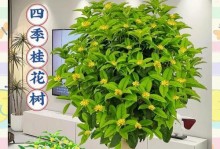 四季桂花移栽后的修剪技巧（打造美丽花坛，轻松修剪四季桂花）