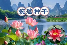 莲花养殖技巧与方法（打造美丽庭园的秘籍，让莲花绽放生机）