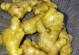 生姜收获季节及其特点（什么时候收获生姜最好？生姜收获的注意事项）