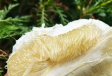 探究柑橘是否真的含糖量高？（柑橘真的是糖分高食物吗？含糖量与其他水果相比如何？）