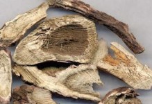 探究臭牡丹的神奇功效（发现臭牡丹的医疗价值与药用作用）