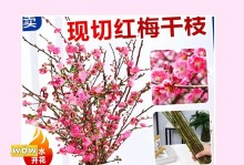水梅花的养殖技巧与注意事项（打造优美水梅花景观）