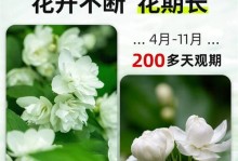 水培茉莉如何养殖更旺盛（打造茉莉花儿茁壮成长的秘诀）