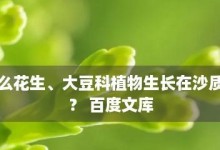 大豆，一种双子叶植物的探究（探讨大豆的起源、分类、特点和应用领域）