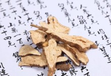 白术种植全攻略（时间、方法、技巧，让你轻松掌握白术种植技能）
