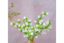 如何科学水养桔梗花（桔梗花养护技巧一网打尽）