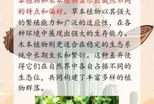 黄金菊（探讨黄金菊的植物分类及特性）