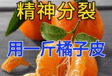 探秘桔子皮的营养价值及食用方法（解析桔子皮中的功效与作用，打造健康饮食生活）