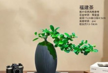 探讨茶树的养护方法（如何让茶树长得更健康）