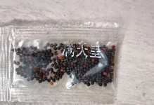满天星种子的来源与生长（探寻满天星的神奇之处，解密它的种子形成过程）