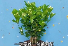 秋天养茉莉花的小窍门（茉莉花的护理与养殖技巧）
