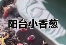 盆景怎样促芽？（盆景养护技巧大揭秘）