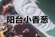 盆景怎样促芽？（盆景养护技巧大揭秘）