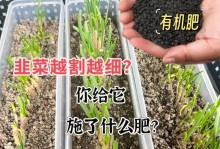 如何科学施肥让太阳花长势更旺？（一次施肥能让太阳花长多快？怎么选用合适的肥料？）