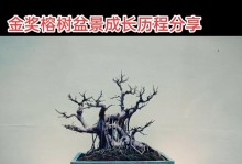 盆景榕树为何频繁掉叶？（探究榕树掉叶的原因及解决方法）