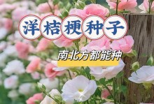 桔梗花开花期一览（桔梗花的美丽与神秘）