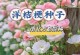 桔梗花开花期一览（桔梗花的美丽与神秘）