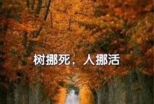 探究树木死亡的原因及预防方法（园林植物的生命终结，如何保护树木健康成长？）