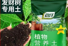 发财树的土壤要求及种植技巧（掌握这些关键点，你也能种出翠绿茂盛的发财树）