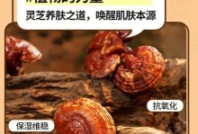 灵芝——一种珍贵的多年生草本植物（灵芝的特点、生长环境、栽培技巧、药用价值及保健作用）