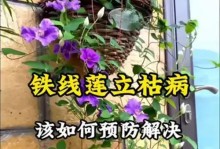 铁线莲病虫防治大全（铁线莲病虫害预防与防治技巧，助您打造健康美丽的花园）