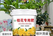 桂花专用肥的正确使用方法（让你的桂花香气四溢的秘诀）