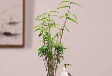 如何正确养殖米竹——从选择到管理（米竹养殖需要注意哪些细节？）