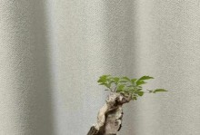 黄荆的养殖方法及养护要点（打造美丽生态园林的黄荆，好养易管的秘诀！）