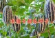 甜瓜种植全攻略（时间、方法、注意事项，让你轻松打造丰收甜瓜园）