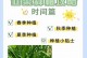 掌握韭黄的播种技巧，助您获得丰收（全面了解韭黄的生长习性，从播种到收割的全过程）