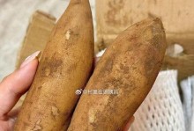 雪莲果的保存期限和保存方法（多久可以保存？怎么保存？）