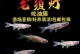 龙须养护全指南（家庭养法，轻松打造绿化空间）