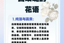 揭秘玫瑰花的花语和象征意义（探究玫瑰花所代表的情感和精神）