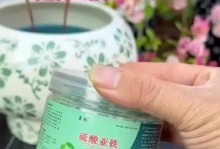 自制肥料（简单方便，让花儿绽放更美）
