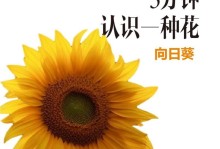 揭秘向日葵的花语与传说（揭秘向日葵的花语与传说）