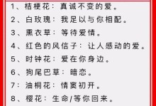 友谊之花的花语（以鲜花为媒介，绽放真挚友情）