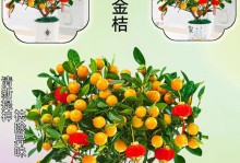 金桔树肥料选用详解（如何选择最适合金桔树的肥料？）