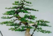 罗汉松可以嫁接吗？（了解罗汉松嫁接的方法和技巧，让你轻松打造美丽的盆景。）