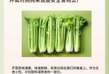 芹菜夏季种植指南（生长环境、品种选择、育苗、移栽、管理技巧全解析）