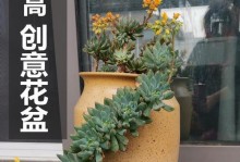 粗陶花盆种植指南（选择粗陶花盆，打造自然花园）