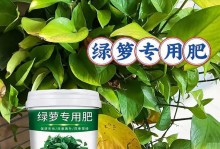 绿萝黄叶处理方法（为什么绿萝会出现黄叶，如何正确处理）