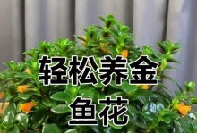 灭虫大作战——如何有效杀死吊兰虫子（保护绿植健康，摆脱害虫困扰）