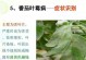 番茄炭疽病（了解番茄炭疽病的发病原因及其危害、预防措施和治疗方法）