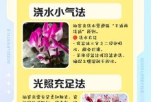 夏日仙客来，如何保存鲜活？（夏天里享受美味，留住滋味的窍门）