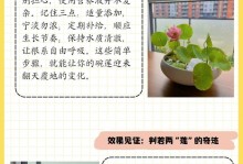 碗莲水培养殖详解（水培碗莲的步骤与技巧，让你轻松打造水上花园）