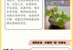 碗莲水培养殖详解（水培碗莲的步骤与技巧，让你轻松打造水上花园）